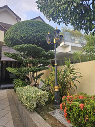 Jalan Ismail (D14), Terrace #443814981